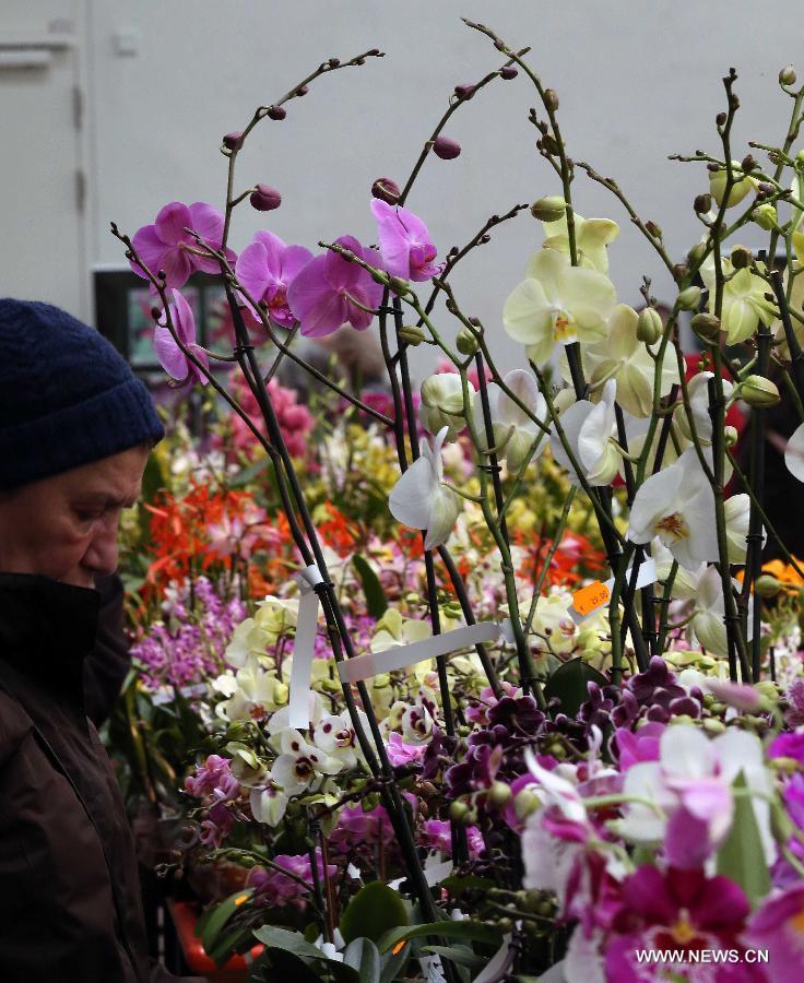People enjoy orchids during the Orchid Show in Frankfurt, Germany, on April 5, 2013. (Xinhua/Luo Huanhuan)