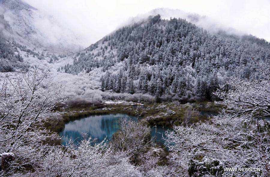 Photo taken on April 5, 2013 shows the scenery of snow covered trees in Jiuzhaigou Valley, southwest China's Sichuan Province. (Xinhua/Sangey)
