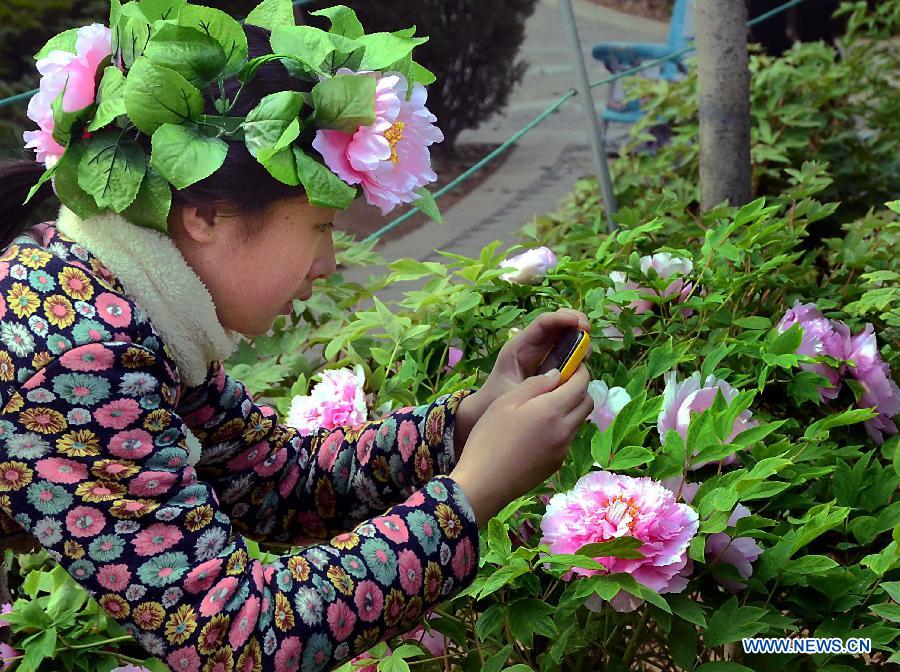 A woman wearing a "peony hat" takes pictures of poenies at a park in Luoyang, central China's Henan Province, April 5, 2013. Poeny hats made of paper or tough silk have become popular in Luoyang, which was once an imperial capital for 13 dynasties through the Chinese history and is famous for its poenies. (Xinhua/Wang Song)