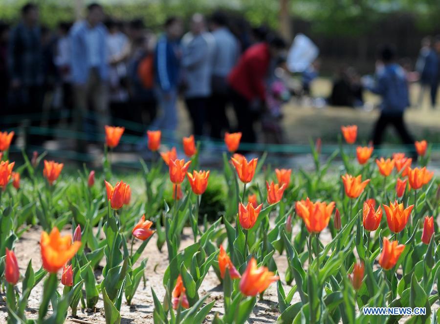 People visit the People's Park during the three-day holiday of Qingming Festival in Zhengzhou, capital of central China's Henan Province, April 6, 2013. (Xinhua/Li Bo) 