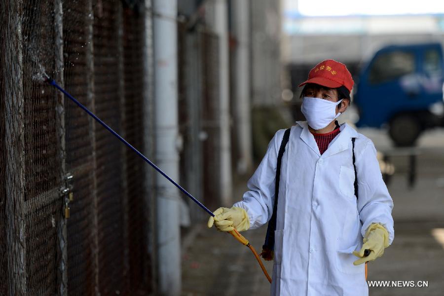 A health worker sprays disinfectant at a closed live poultry trade market in Feidong County, east China's Anhui Province, April 7, 2013. China reported three more H7N9 infections on Sunday, bringing the total number of the confirmed cases to 21 as the country is gearing up to fight the disease that has left six dead. The latest confirmed H7N9 case was reported in Anhui Province, where a 55-year-old male working in the live poultry trade was diagnosed with the virus, local health authorities said Sunday night. (Xinhua/Zhang Duan)