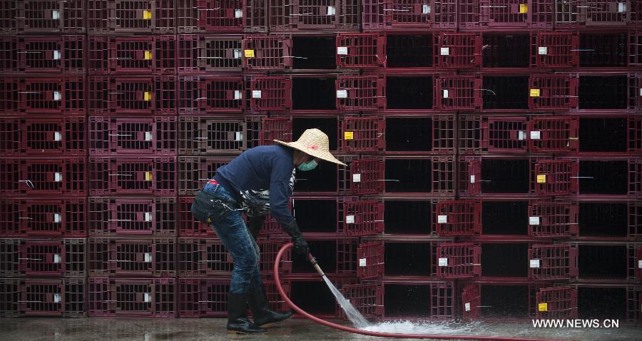 A worker cleans the chicken coops at a live poultry market in Hong Kong, south China, April 8, 2013. Hong Kong has reinforced efforts in its H7N9 prevention measures, including strengthening inspection on live poultry supply. China reported three more H7N9 infections on Sunday, bringing the total number of the confirmed cases to 21 as the country is gearing up to fight the disease that has left six dead. (Xinhua/Lui Siu Wai)