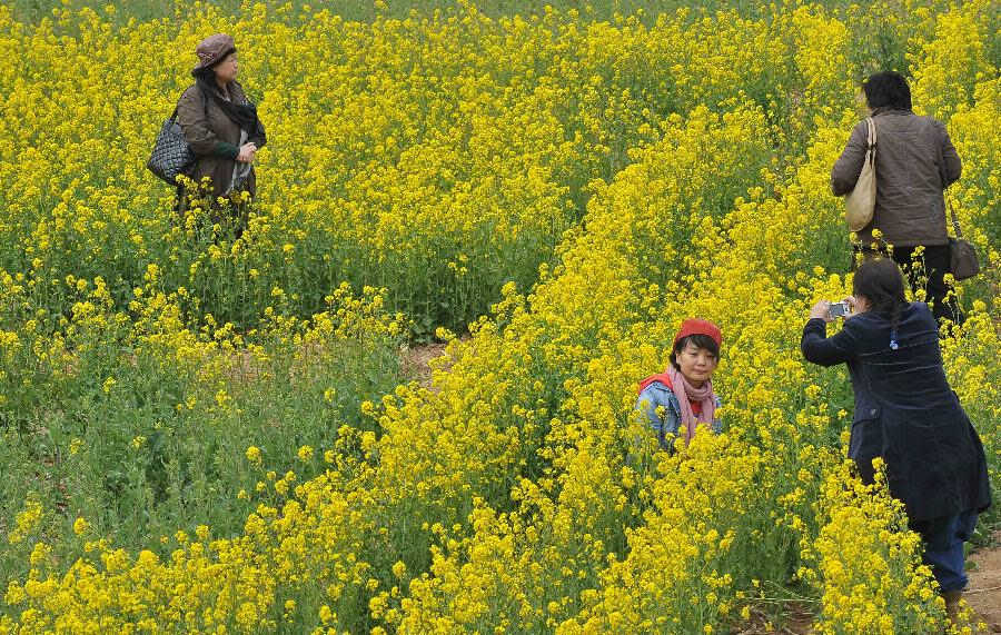 Visitors view rape flowers in Shuangquan Township in Jinan, capital of east China's Shandong Province, April 8, 2013. Rape flowers in Shuangquan entered the best season for viewing, attracting numbers of visitors. (Xinhua/Zhu Zheng)