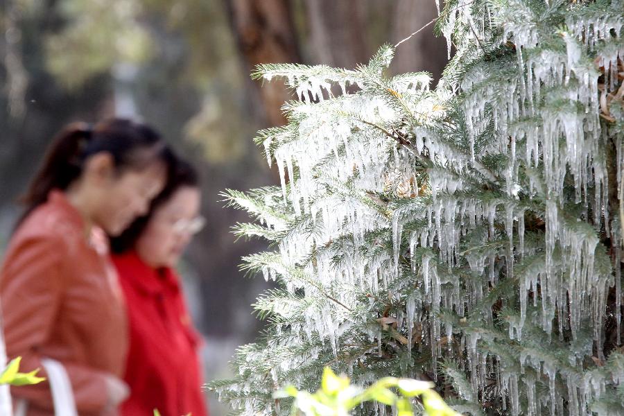 Citizens walk past tree branches with icicles in Hami, northwest China's Xinjiang Uygur Autonomous Region, April 8, 2013. Icicles are seen on tree branches and blossoms in Haimi due to sharp drop of temperature. (Xinhua/Cai Zengle)