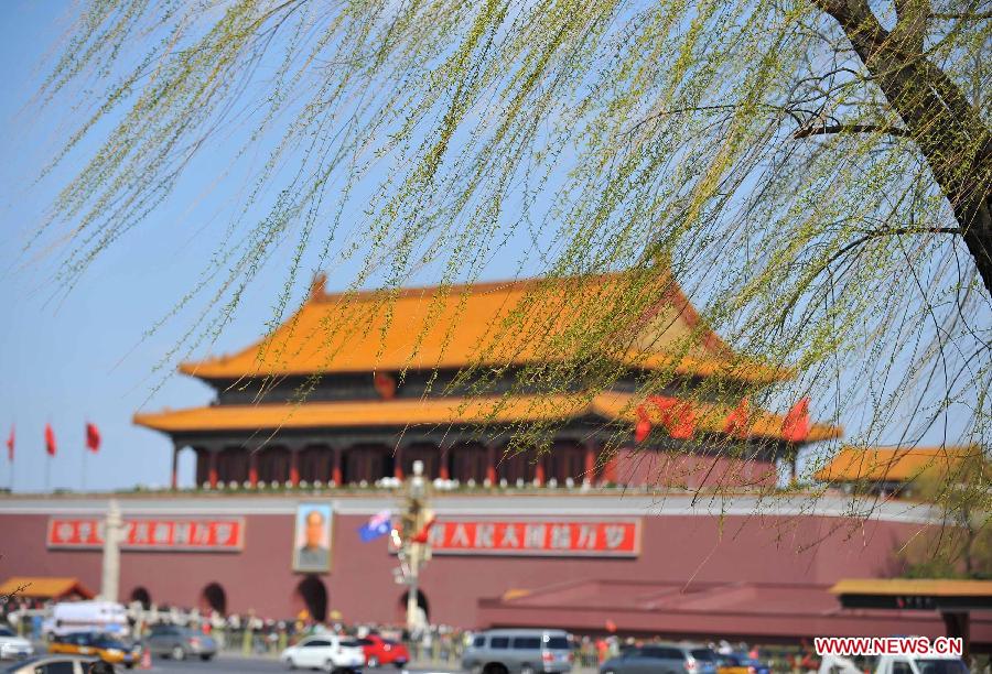 Willow branches swing near the Tian'anmen Rostrum in Beijing, capital of China, April 8, 2013. (Xinhua/Chen Yehua)