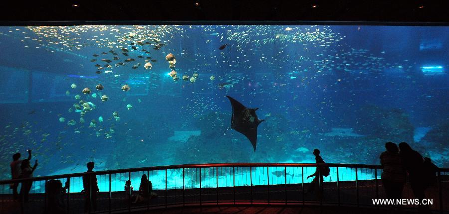 People visit the Resorts World Sentosa's S.E.A Aquarium in Singapore, April 9, 2013. The aquarium, is the official record holder of the two Guinness World Records - for the world's largest aquarium and for the world's largest acrylic panel in its Ocean Gallery, according to the announcement of the Resorts World Sentosa. (Xinhua/Then Chih Wey)