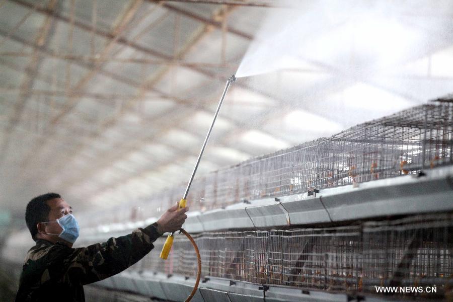 A health worker sprays disinfectant at a poultry farm in Dayang Township of Bozhou City, east China's Anhui Province, April 9, 2013. Two patients from east China's Anhui and Jiangsu provinces who were confirmed as H7N9 cases days ago died of the avian influenza on Tuesday afternoon. This has brought the total number of deaths caused by the H7N9 bird flu in the country to nine. So far, China has reported a total of 28 H7N9 cases, including nine which ended in fatalities. (Xinhua/Liu Qinli)