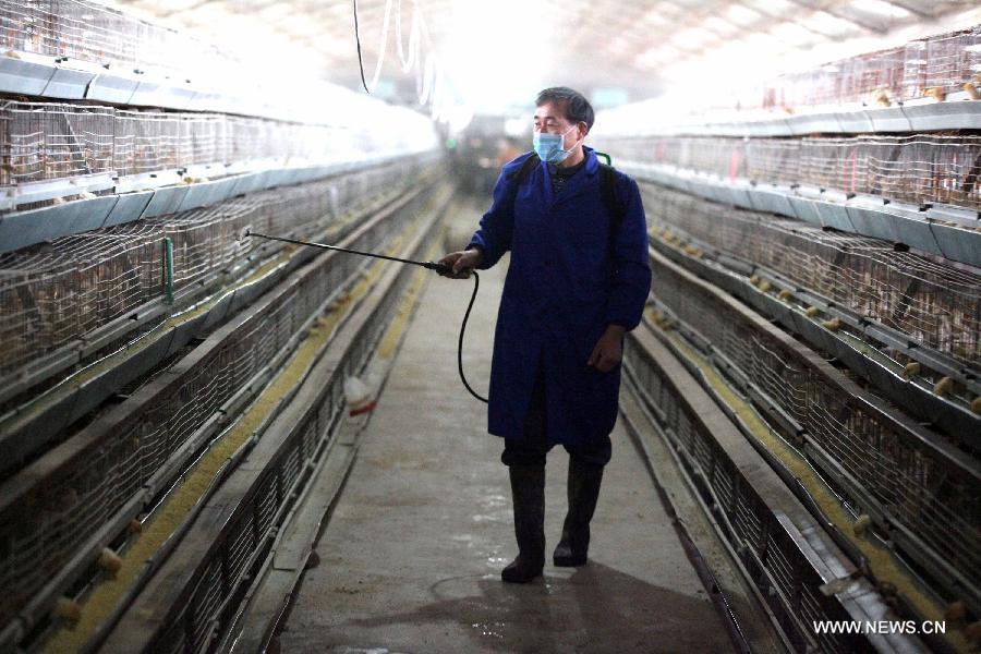 A health worker sprays disinfectant at a poultry farm in Dayang Township of Bozhou City, east China's Anhui Province, April 9, 2013. Two patients from east China's Anhui and Jiangsu provinces who were confirmed as H7N9 cases days ago died of the avian influenza on Tuesday afternoon. This has brought the total number of deaths caused by the H7N9 bird flu in the country to nine. So far, China has reported a total of 28 H7N9 cases, including nine which ended in fatalities. (Xinhua/Liu Qinli)
