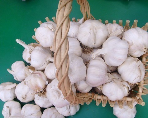Garlic (Photo Source: huanqiu.com)