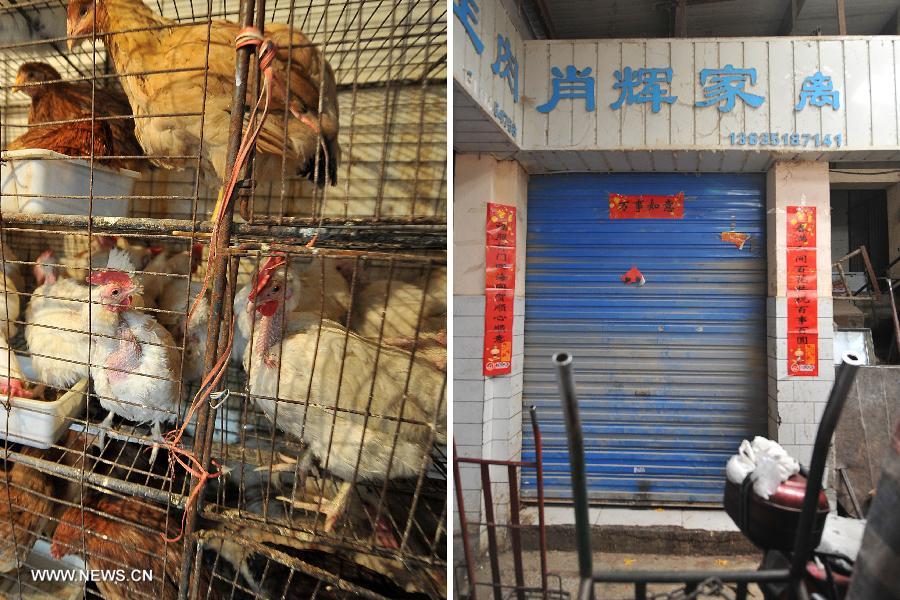 Combo photo shows the live poultry which are to be dealt with later (L) and a closed store (R) at a market in Taiyuan, capital of north China's Shanxi Province, April 10, 2013. The city has suspended the live poultry trade in recent days. As of Tuesday afternoon, China had reported a total of 28 H7N9 cases in Shanghai municipality and the provinces of Jiangsu, Anhui and Zhejiang, including nine fatalities, according to the National Health and Family Planning Commission. (Xinhua/Zhan Yan) 