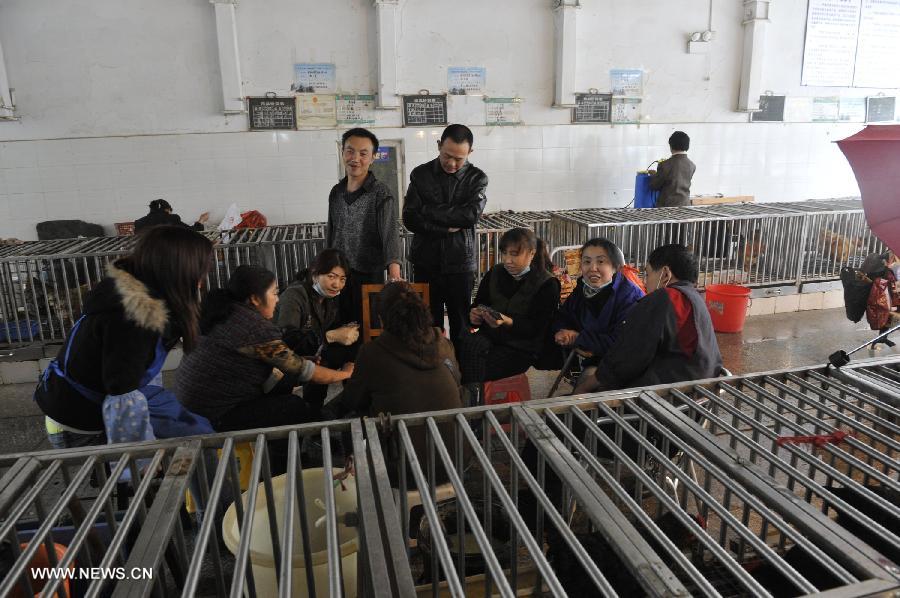 Merchants play cards at a live poultry trade area in a market in Guiyang, capital of southwest China's Guizhou Province, April 10, 2013. The live poultry trade cooled off in the city in recent days, as people became less willing to consume poultry products since the H7N9 outbreak. As of Tuesday afternoon, China had reported a total of 28 H7N9 cases in Shanghai municipality and the provinces of Jiangsu, Anhui and Zhejiang, including nine fatalities, according to the National Health and Family Planning Commission.(Xinhua/Ou Dongqu)
