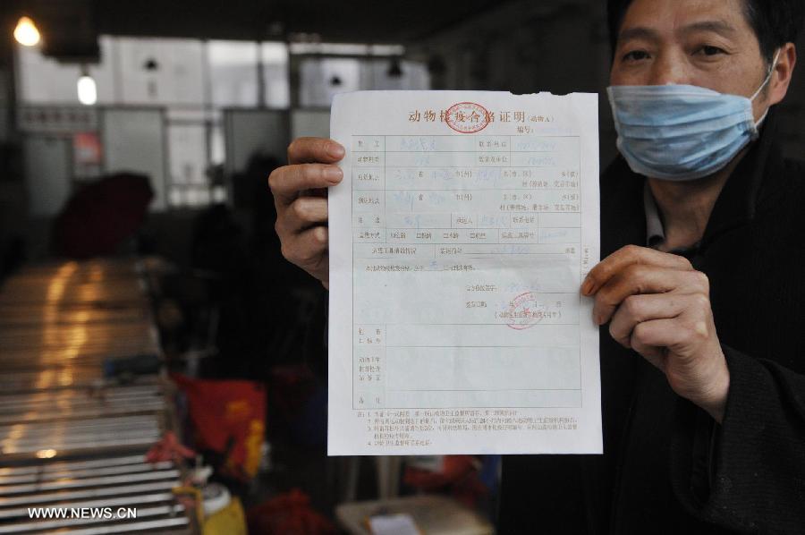 A merchant shows the quarantine certification of the live poultry in a market in Guiyang, capital of southwest China's Guizhou Province, April 10, 2013. The live poultry trade cooled off in the city in recent days, as people became less willing to consume poultry products since the H7N9 outbreak. As of Tuesday afternoon, China had reported a total of 28 H7N9 cases in Shanghai municipality and the provinces of Jiangsu, Anhui and Zhejiang, including nine fatalities, according to the National Health and Family Planning Commission. (Xinhua/Ou Dongqu)