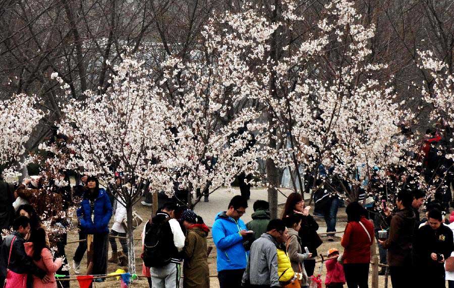 Visitors are seen in the Yuyuantan Park in Beijing, capital of China, April 10, 2013. As the temperature rises, people in Beijing are swarming into parks to view blooming flowers. (Xinhua/Li Xin) 