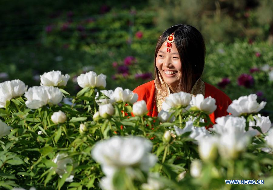 Visitors view peony flowers at a park in Luoyang City, central China's Henan Province, April 10, 2013. (Xinhua/Wang Song)