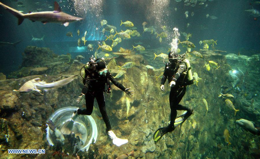 Divers play with fish during a diving event at the Hong Kong Ocean Park in Hong Kong, south China, April 11, 2013. The event, starting Thursday, enables visitor to get into close touch with the fish in the park's tanks. (Xinhua/Wang Yuqing)
