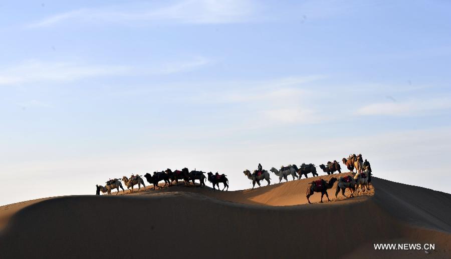 Camels walk in the desert to wait for tourists at the scenic area of Shapotou in Zhongwei City, northwest China's Ningxia Hui Autonomous Region, April 11, 2013. (Xinhua/Liu Quanlong) 