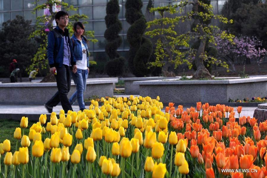 A couple walk past tulip blossoms at the Botanic Garden of Shijiazhuang, capital of north China's Hebei Province, April 14, 2013. (Xinhua/Zhu Xudong)