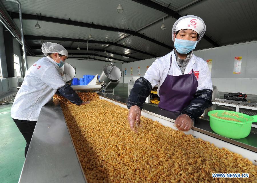 Photo taken on March 13, 2013 shows a factory producing Saqima, a kind of Chinese traditional dessert, in Xiji County of northwest China's Ningxia Hui Autonomous Region. China's gross domestic product (GDP) growth unexpectedly slowed to 7.7 percent in the first quarter of 2013, down from 7.9 percent during the final quarter of 2012, data from the National Bureau of Statistics (NBS) showed on April 15, 2013. (Xinhua/Peng Zhaozhi) 