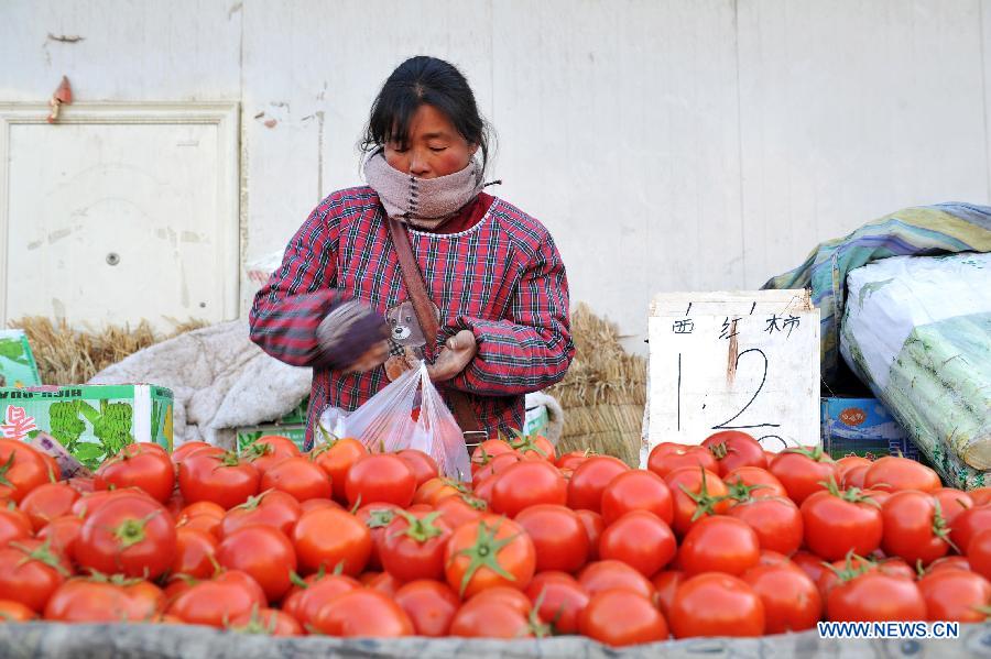 A vender sells tomatoes in Yinchuan, capital of northwest China's Ningxia Hui Autonomous Region, Jan. 29, 2013. China's gross domestic product (GDP) growth unexpectedly slowed to 7.7 percent in the first quarter of 2013, down from 7.9 percent during the final quarter of 2012, data from the National Bureau of Statistics (NBS) showed on April 15, 2013. (Xinhua/Peng Zhaozhi) 