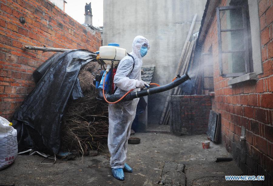 A staff member wearing a protection suit spray disinfectant to the hen house whose the proprietor surnamed Chen in Chajian Town of Tianchang City, east China's Anhui Province, April 16, 2013. Chen was tested positive for H7N9 virus on April 15, according to the provincial health department in Anhui. Chen's residence and areas nearby were disinfected thoroughly on April 16. (Xinhua/Du Yu)