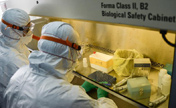 Test processes of H7N9 suspected case