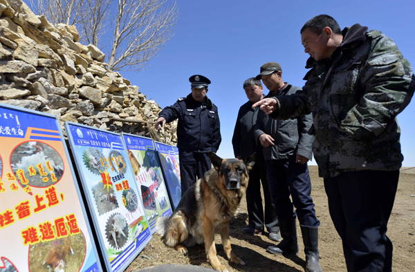 A local policeman explains local laws and regulations to herdsmen along the railway line at Zhenglanqi railway station in Xilinhot, North China’s Inner Mongolia autonomous region on April 16. (Photo/Xinhua)