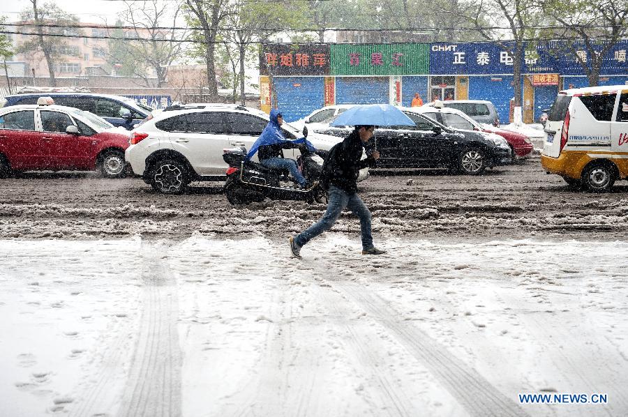 A citizen holding an umbrella walks on a snowy road in Taiyuan, capital of north China's Shanxi Province, April 19, 2013. The city witnessed a snowfall on April 19 morning. (Xinhua/Fan Minda)