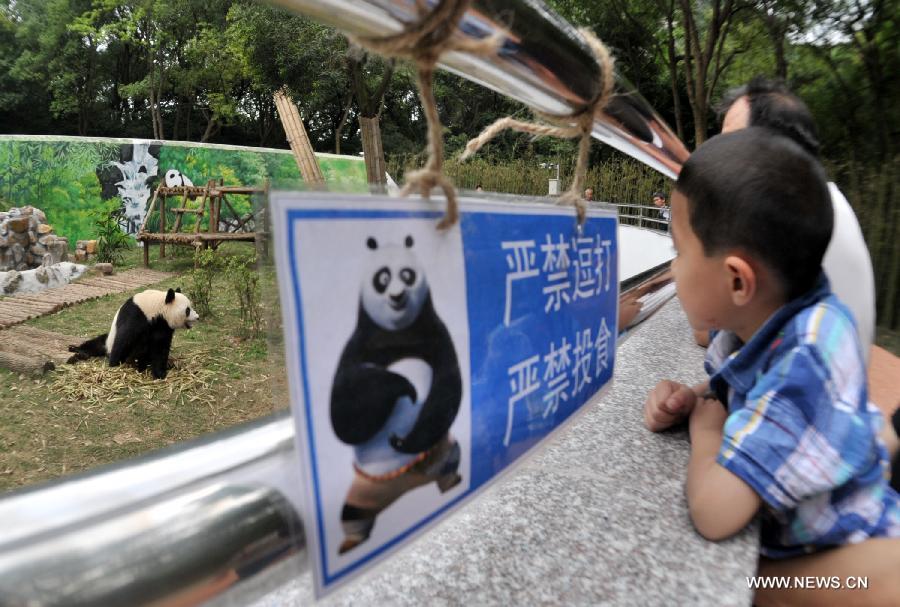 A boy views giant panda "Shulin" at the Liuzhou Zoo in Liuzhou, south China's Guangxi Zhuang Autonomous Region on April 19, 2013. Male giant pandas "Mingbang" and "Shulin" were shown on public display for the first time at the zoo on Friday, who were brought here from Sichuan Province last month and they will live here in the next five years. (Xinhua/Li Hanchi) 