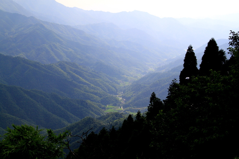 Located in the Luoxiao Mountains, Jinggang Mountain is the "cradle of the Chinese revolution", and has become a hot attraction for natural travel as well as patriotic education. Covering an area of 213.5 square kilometers, Jinggang Mountain accounts for 32.4 percent of Jinggangshan City. It has dozens of residences and sites of the revolution, of which 10 are under the protection of the State Council. It also boasts more than 60 attractions, including hot springs, caves, waterfalls, mountains and precious animals and plants. (Source: china.org.cn)