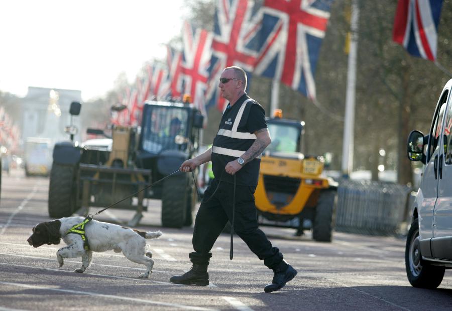 A security man works with an explosive-detecting dog at the Mall, the finishing line of the London Marathon, in London, capital of Britain, on April 20, 2013. London's Metropolitan Police have reinforced security for the competition scheduled for April 21, in the wake of the Boston Marathon bombings. (Xinhua/Gautam)