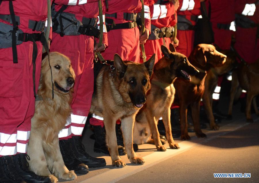 Sniffer dogs and members of China International Search and Rescue Team (CISAR) gather at Nanyuan Airport in Beijing, capital of China, April 20, 2013. A total of 140 rescuers and 12 sniffer dogs flied to the earthquake-hit Lushan County, southwest China's Sichuan Province, Saturday night to conduct rescue work. (Xinhua/Yu Hongchun) 