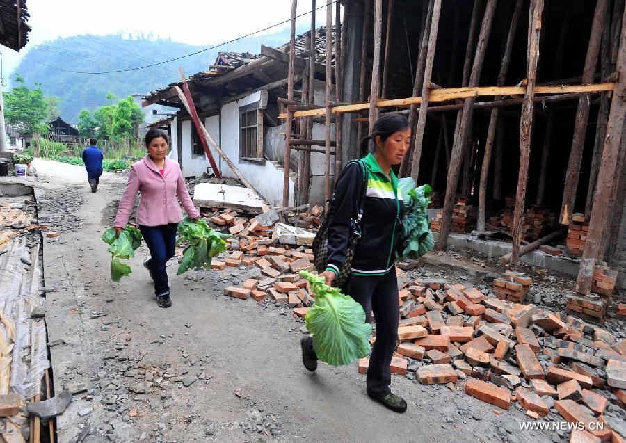 Villagers bring vegetables to Yuxi Primary School served as an evacuation settlement in the quake-hit Yuxi Village, Baosheng Township, Lushan County in southwest China's Sichuan Province, April 22, 2013. Over 40 displaced villagers lived in makeshift tents in the settlement where they helped each other to overcome difficulties together. (Xinhua/Xiao Yijiu)