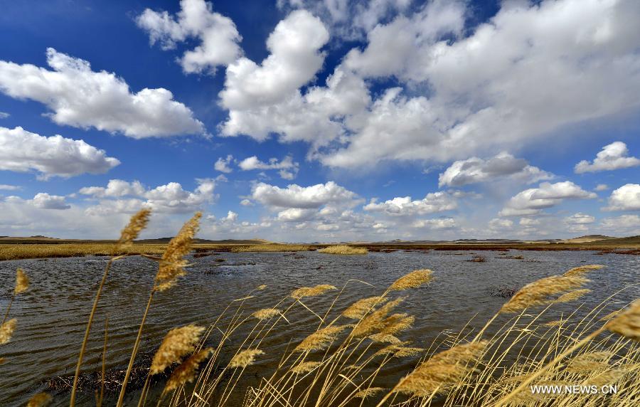 Photo taken on April 23, 2013 shows the scenery of Ulgai, north China's Inner Mongolia Autonomous Region. (Xinhua/Ren Junchuan)