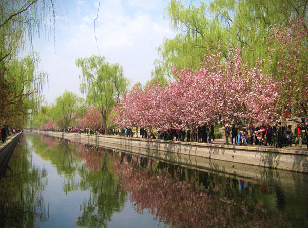 Crowds of people walk along the canal at Yuan Dadu Park, Beijing, on Wednesday, April 24, enjoying the crabapple blossoms on one of the warmest days of the year. [Photo: CRIENGLISH.com/William Wang]