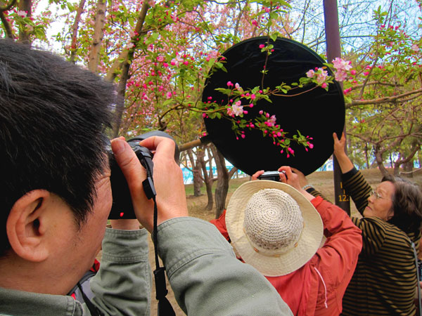 A group of retirees spend their free time learning photographic techniques. "We're not professionals!" they all exclaim, at Yuan Dadu Park, Beijing, on Wednesday, April 24. [Photo: CRIENGLISH.com/William Wang]