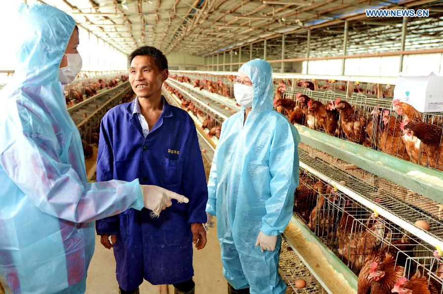 Disease control staffs talk with a chicken breeder in Fuqing, southeast China's Fujian Province, April 26, 2013. Health authorities in Fujian Province on Friday confirmed the province's first human case of H7N9 avian influenza. (Xinhua/Zhang Guojun)