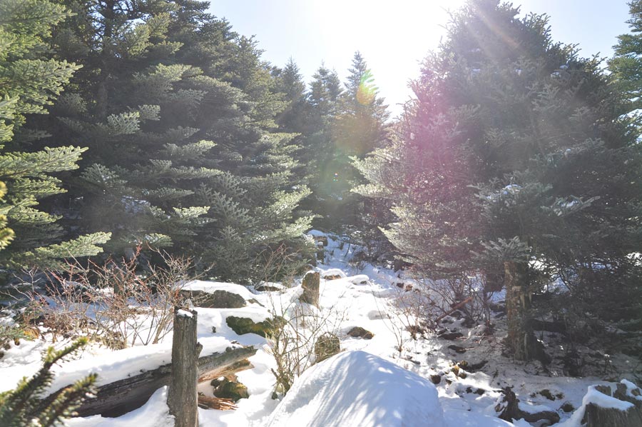 Photo shows the beautiful scenery in Luoji Mountain, Xichang City, China's Sichuan Province. (China.org.cn)