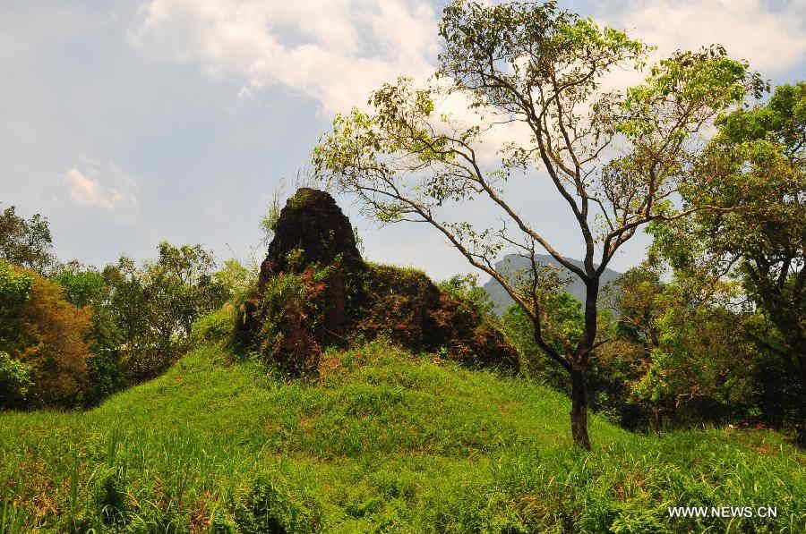 Bombs are seen in My Son Sanctuary, which was badly wrecked during last century's Vietnam War, in central Vietnam, on April 29, 2013. Between the 4th and 13th centuries, a unique culture which owed its spiritual origins to Indian Hinduism developed on the coast of contemporary Vietnam. It was graphically illustrated by the remains of a series of impressive tower-temples located in My Son that was the religious and political capital of the Champa Kingdom for most of its existence. My Son Sanctuary was inscripted in UNESCO's World Cultural Heritage list in 1999. (Xinhua/Zhang Jianhua) 