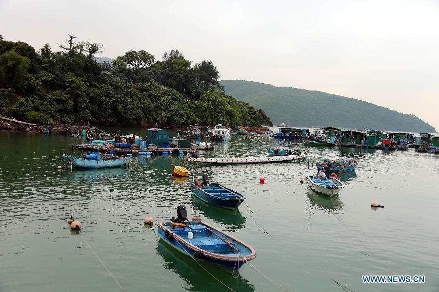 Photo taken on May 5, 2013 shows the scenery of Ma Wan, an island in south China's Hong Kong. Ma Wan, which got the name from Mazu, the goddess of sailors, used to be a fishing village. Now the Ma Wan Park and Noah's Ark Museum here attract many tourists. (Xinhua/Li Peng)