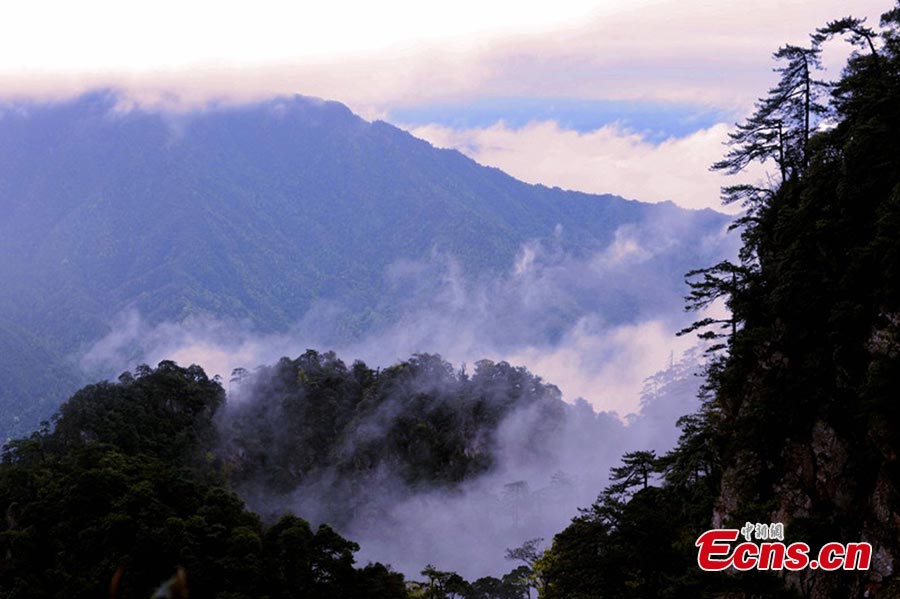 Photo taken on May 5, 2013 shows the amazing scenery of the Jinggang Mountains in Jiangxi Province. Located in the remote border region between Jiangxi and Hunan provinces, the Jinggang Mountains is a 4A tourist attraction. (CNS/Li Jianping)