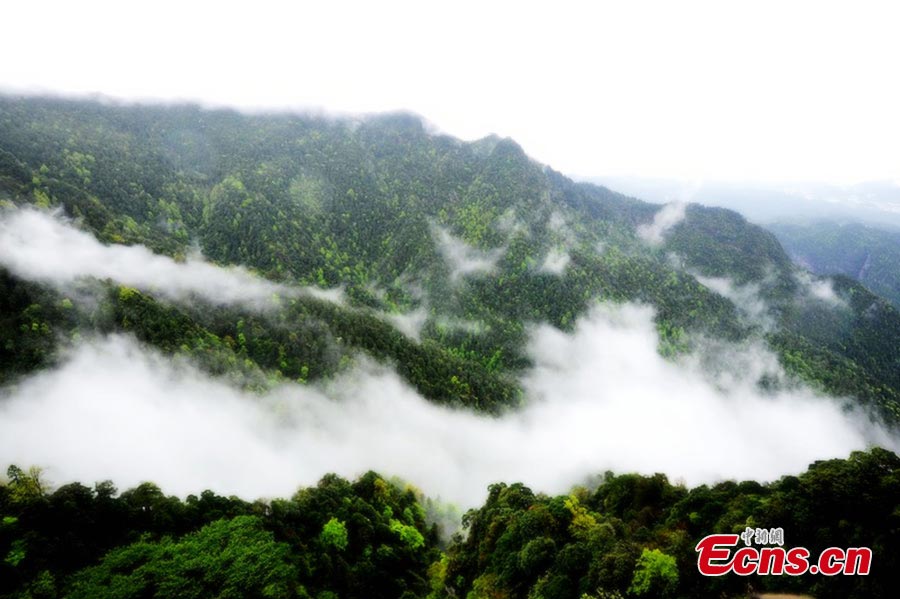 Photo taken on May 5, 2013 shows the amazing scenery of the Jinggang Mountains in Jiangxi Province. Located in the remote border region between Jiangxi and Hunan provinces, the Jinggang Mountains is a 4A tourist attraction. (CNS/Li Jianping)