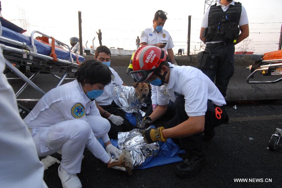 Rescuers give emergency attention to dogs at the site of an explosion on the Mexico-Pachuca highway in Ecatepec, Mexico, on May 7, 2013. At least 20 people were killed and 34 injured when a gas tanker exploded early Tuesday in a Mexico City suburb, security officials said. (Xinhua/Susana Martinez) 