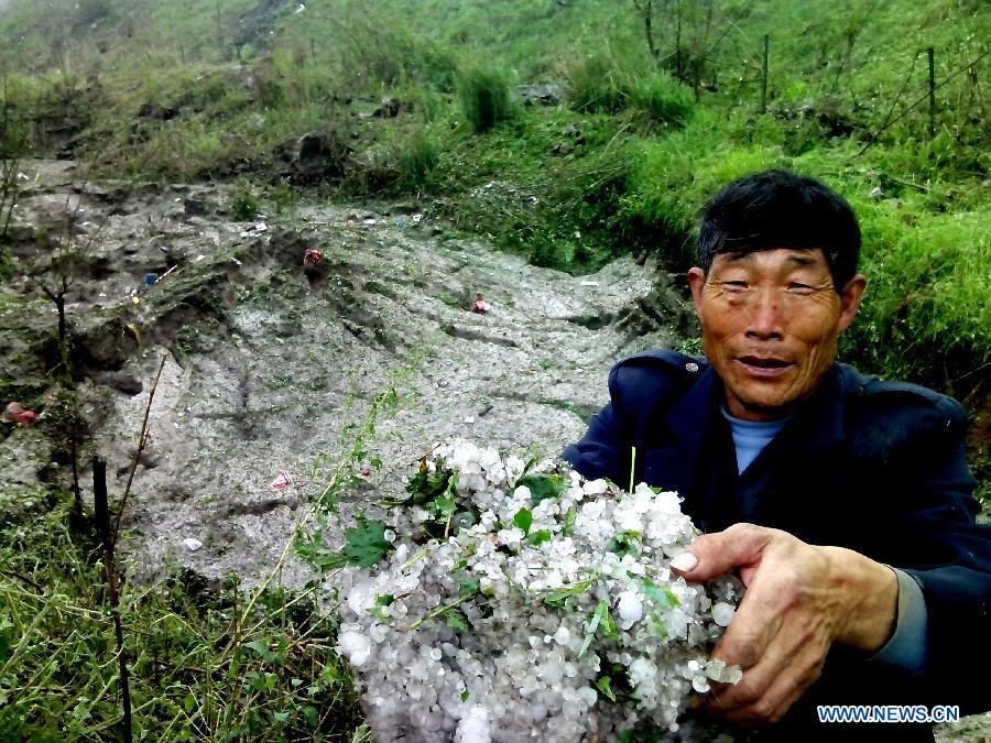 A villager holds a pile of hails collected in the Lvfang Village in Xiuwen County, southwest China's Guizhou Province, May 7, 2013. The central, south central and southeast parts of Guizhou were hit by hails and storms from Monday to Tuesday, disturbing local traffic and power service and causing damage to agricultural production. (Xinhua/Yang Chao) 