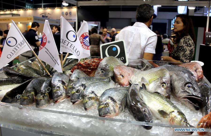 Photo taken on May 8, 2013 shows fresh fish displayed during the 15th International Exhibition of Food & Drink, Hotel, Restaurant & Food Service Equipment, Supplies & Services (HOFEX) in south China's Hong Kong. The four-day HOFEX 2013 will last till May 10 at Hong Kong Convention & Exhibition Center. (Xinhua/Li Peng) 