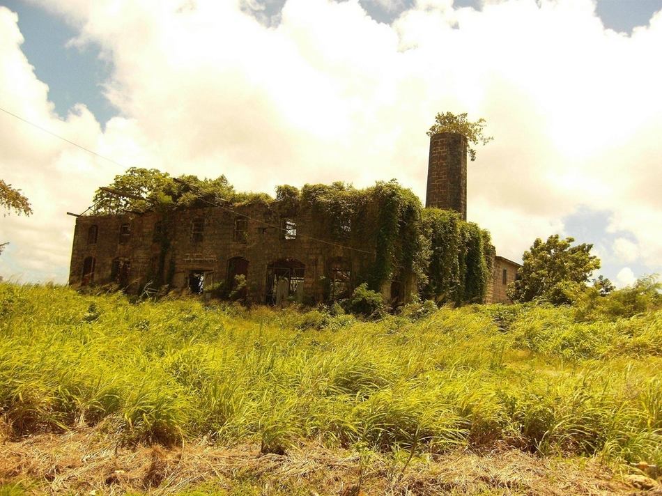 Abandoned brewery of Barbados, Latin America.(Photo/huanqiu.com) 