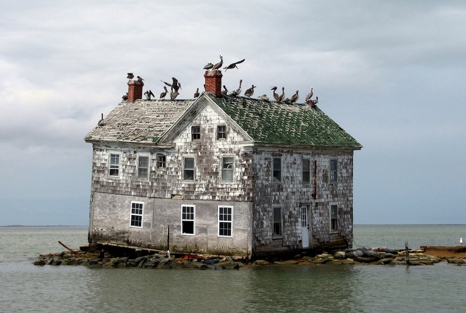 An island at Chesapeake Bay, east coast of the United States.(Photo/huanqiu.com) 