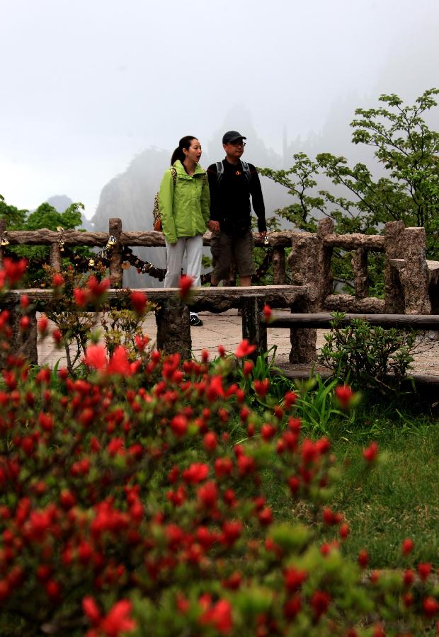 Photo taken on May 7, 2013 shows visitors viewing the blooming azaleas at the Mount Huangshan scenic spot in Huangshan City, east China's Anhui Province. (Xinhua/Shi Guangde)