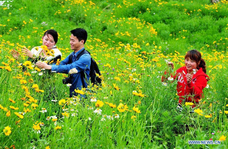 Visitors enjoy flowers in the flowery terraces in Yunshan Village of Yongtai County, southeast China's Fujian Province, May 9, 2013. The Yongtai County, which made great effort to improve its ecological environment in recent years, has seen its vegetation coverage rate reach 92 percent. (Xinhua/Zhang Guojun)