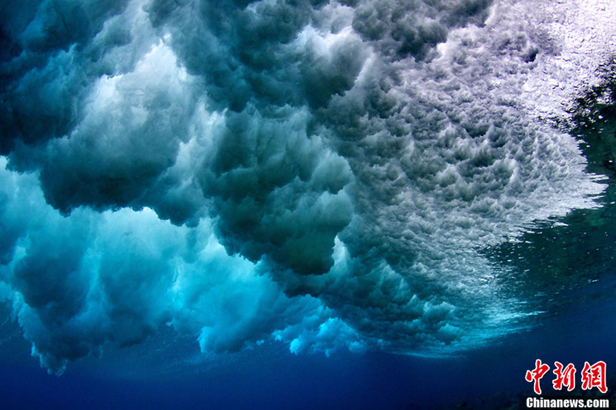 Fabulous images of scenery deep in the ocean captured by photographer Bryce Groark.(chinanews.com)