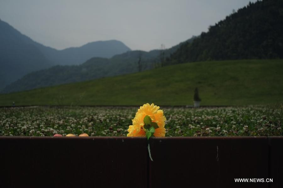 A bunch of plastic chrysanthemums is placed to mourn for the deceased in the Wenchuan Earthquake at the original site of Beichuan Middle School in Beichuan County, southwest China's Sichuan Province, May 11, 2013. Many people returned to the Beichuan county to mourn for the dead as Sunday marks the fifth anniversary of the 8-magnitude quake that rocked Sichuan Province in 2008. (Xinhua/Wang Shen)